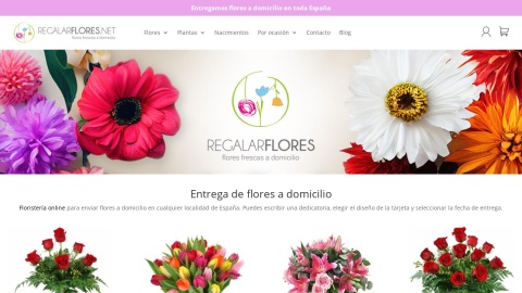 Reviews over RegalarFlores