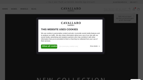 Reviews over Cavallaronapoli